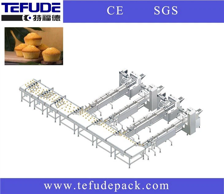 pia cake automatic feeding and packing line automatic feeding packing line solution